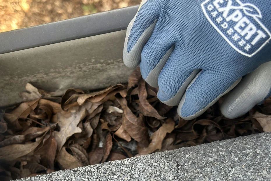 Gutter Cleaning Leesville