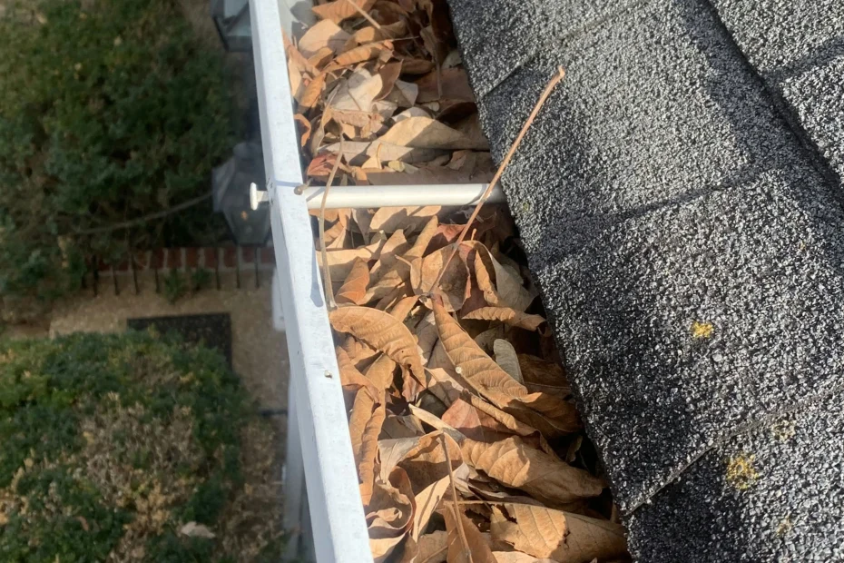 Gutter Cleaning Leesville