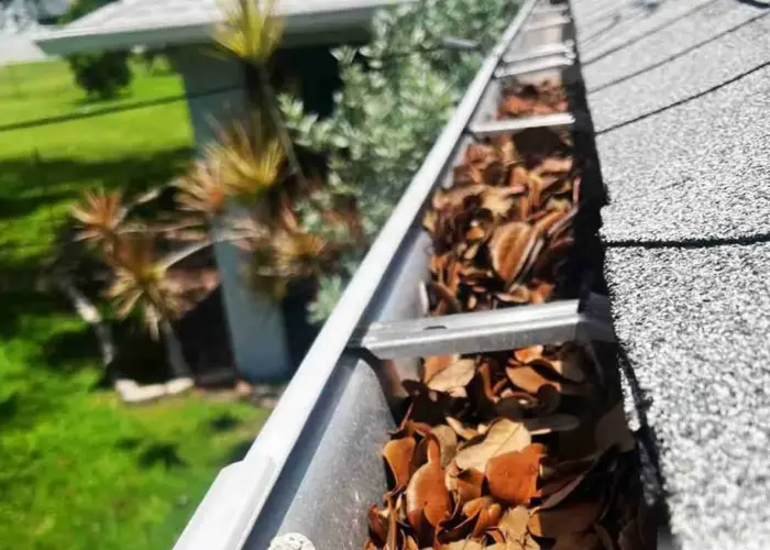 Gutter Cleaning Leesville home page